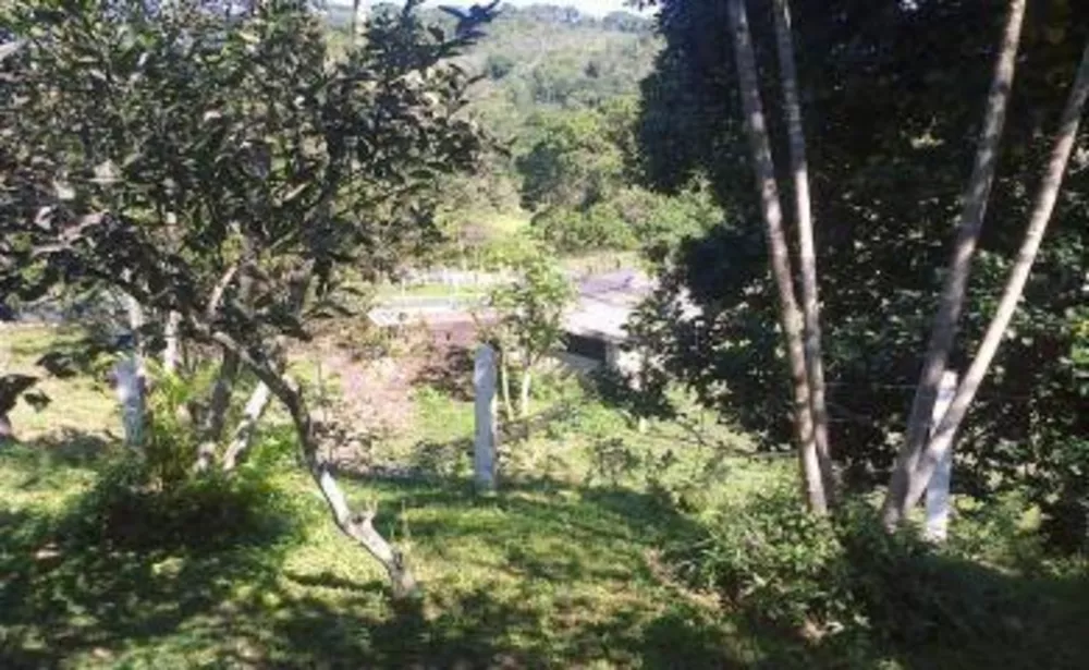 Sítio, 3 quartos, 4 hectares - Foto 9