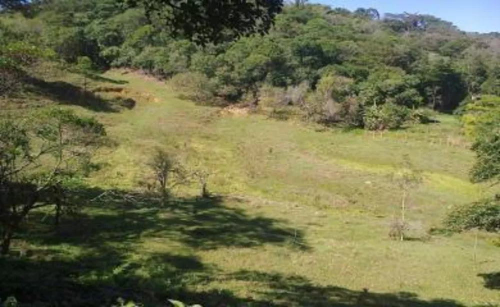 Sítio, 3 quartos, 4 hectares - Foto 21