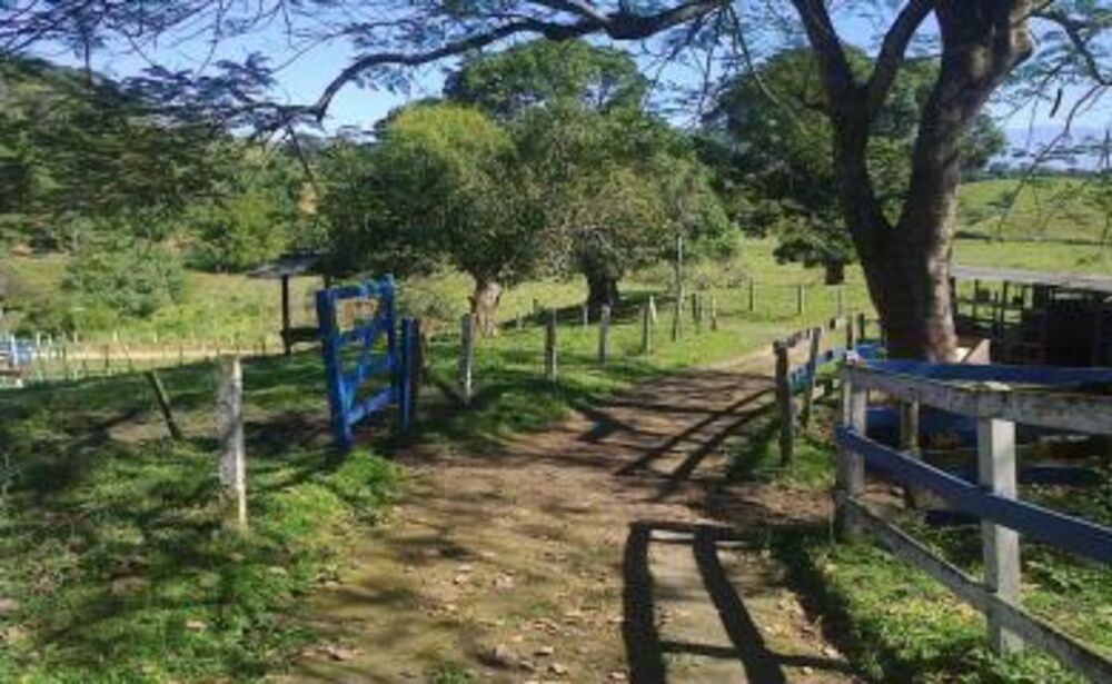 Sítio à venda com 3 quartos, 40000m² - Foto 3