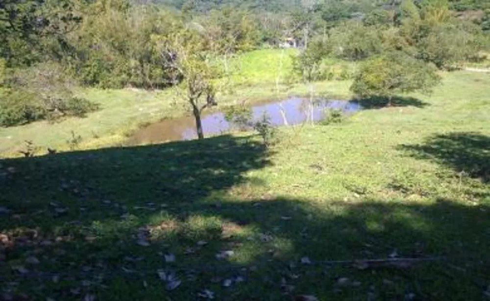 Sítio, 3 quartos, 4 hectares - Foto 7