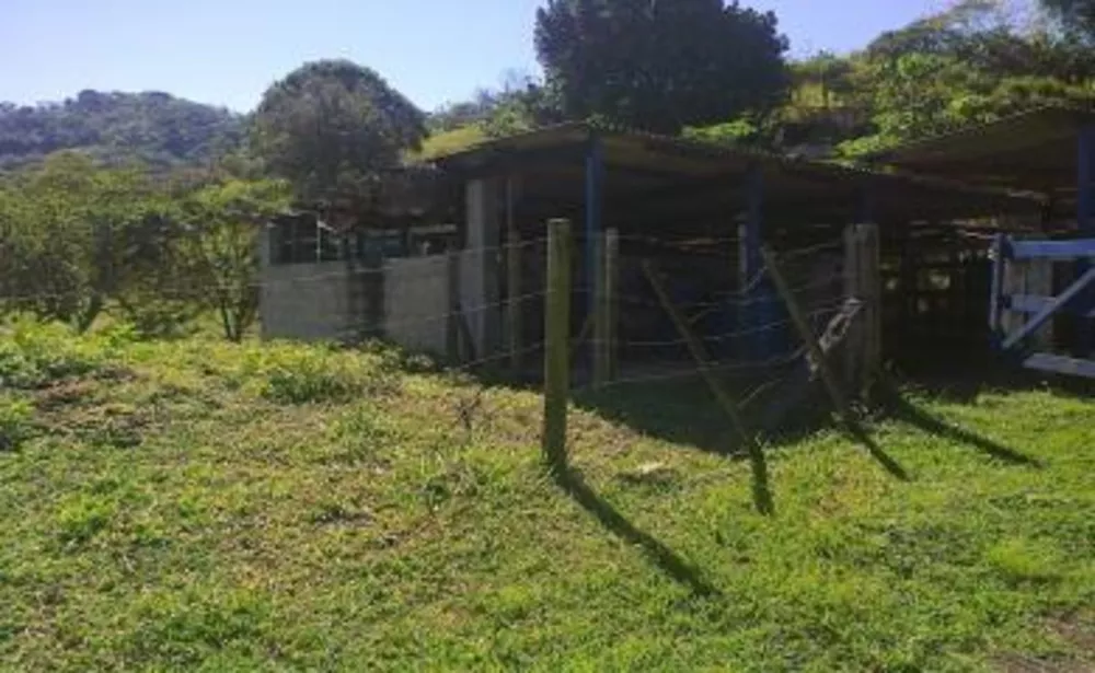 Sítio, 3 quartos, 4 hectares - Foto 6