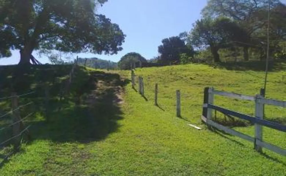 Sítio, 3 quartos, 4 hectares - Foto 20