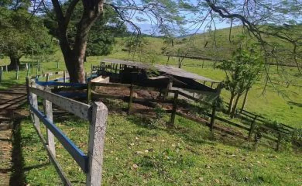 Sítio, 3 quartos, 4 hectares - Foto 18