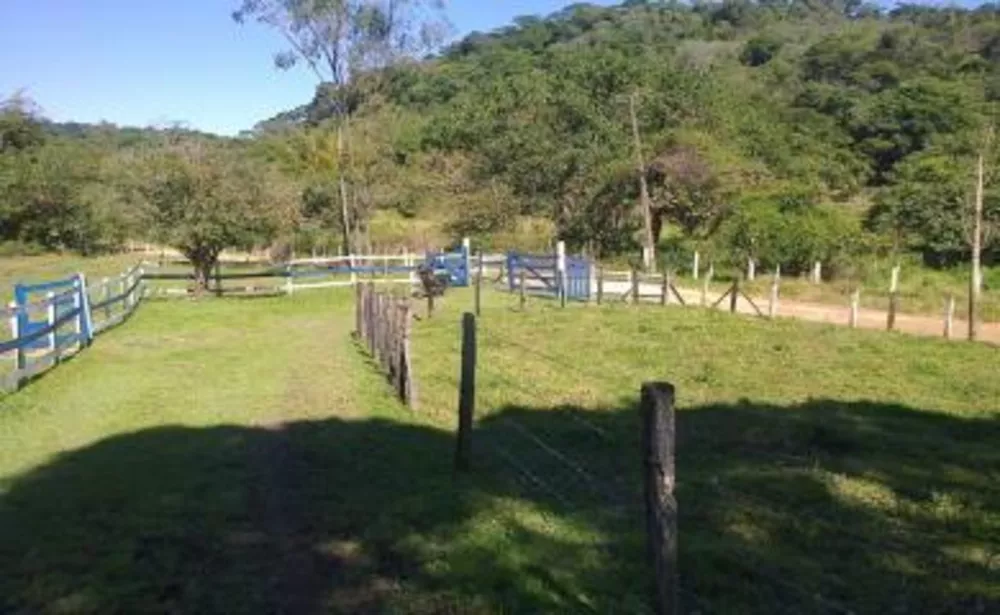 Sítio, 3 quartos, 4 hectares - Foto 3