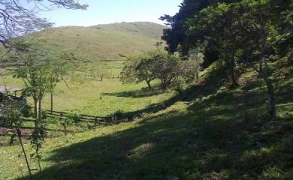 Sítio, 3 quartos, 4 hectares - Foto 19