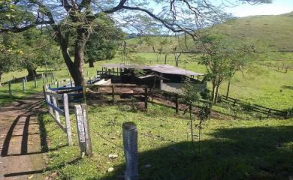 Sítio, 3 quartos, 4 hectares - Foto 2