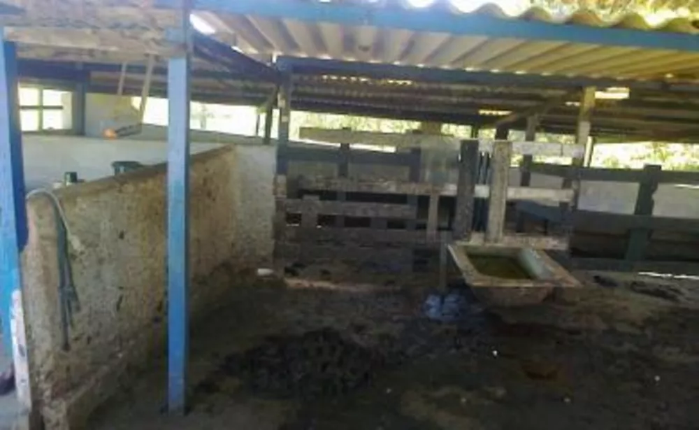 Sítio, 3 quartos, 4 hectares - Foto 11