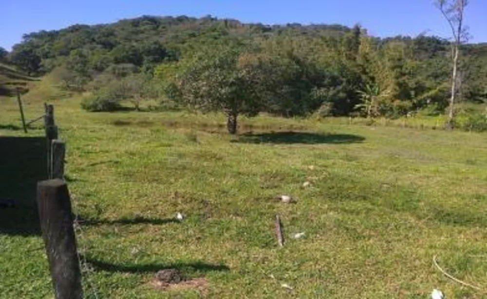 Sítio, 3 quartos, 4 hectares - Foto 1