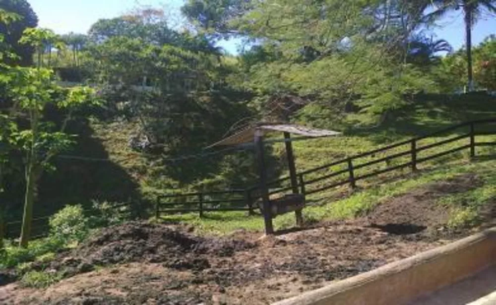 Sítio, 3 quartos, 4 hectares - Foto 22