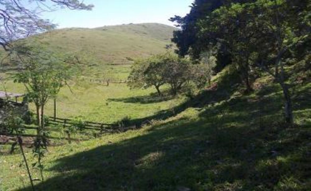 Sítio à venda com 3 quartos, 40000m² - Foto 4