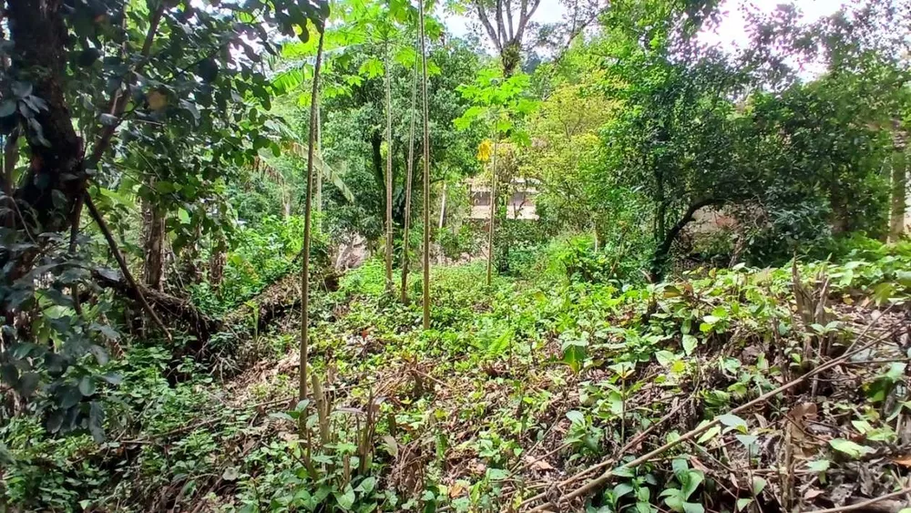 Chácara, 3839 m² - Foto 16