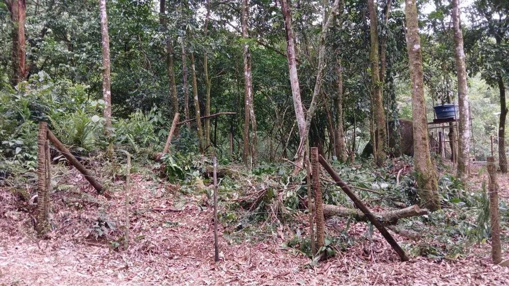 Chácara, 3839 m² - Foto 14