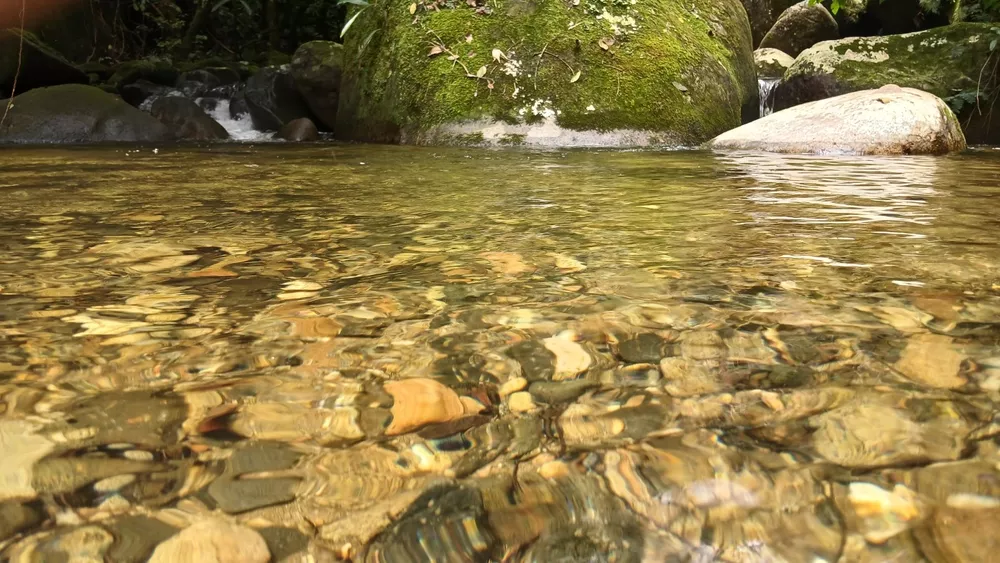 Chácara, 3839 m² - Foto 23