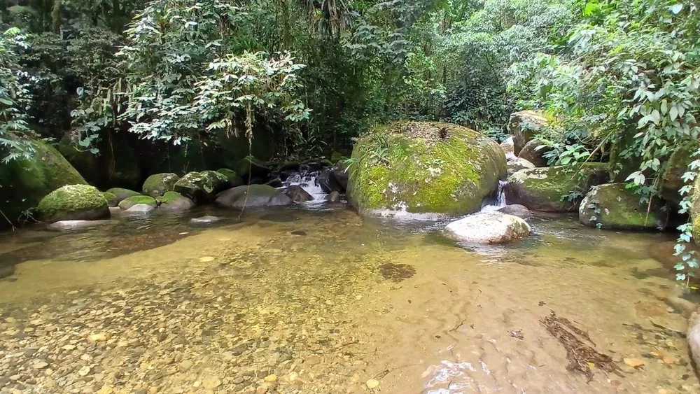 Chácara, 3839 m² - Foto 22