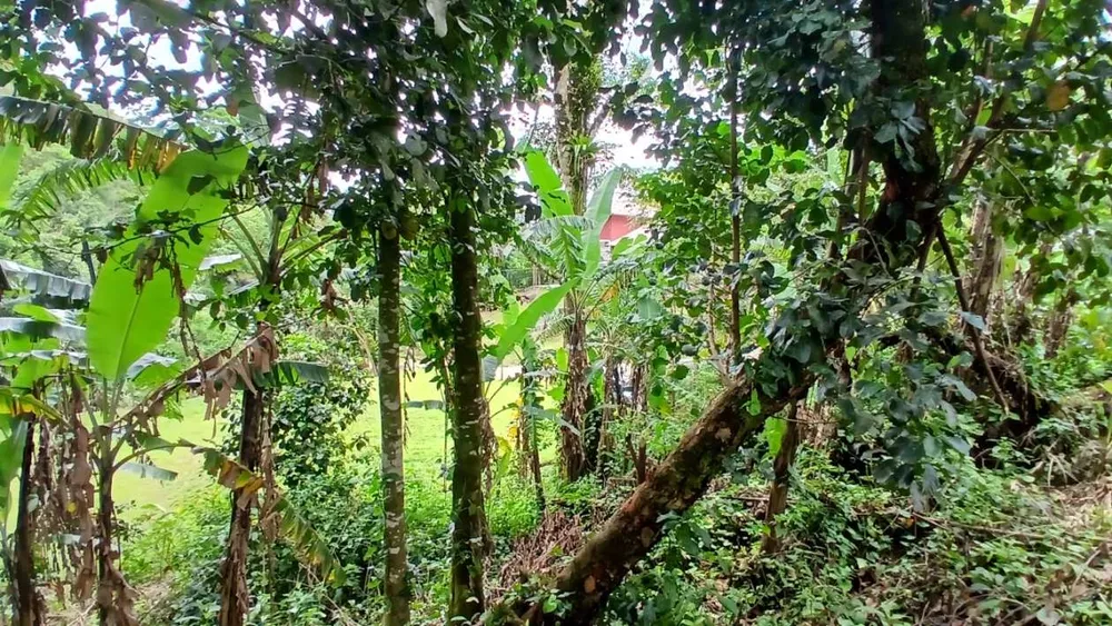 Chácara, 3839 m² - Foto 15