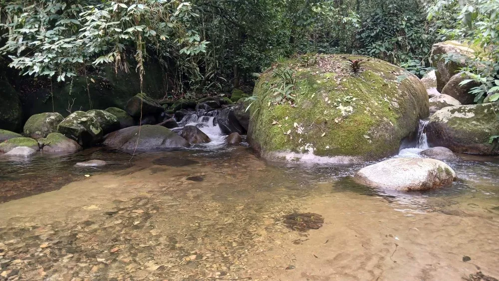 Chácara, 3839 m² - Foto 21