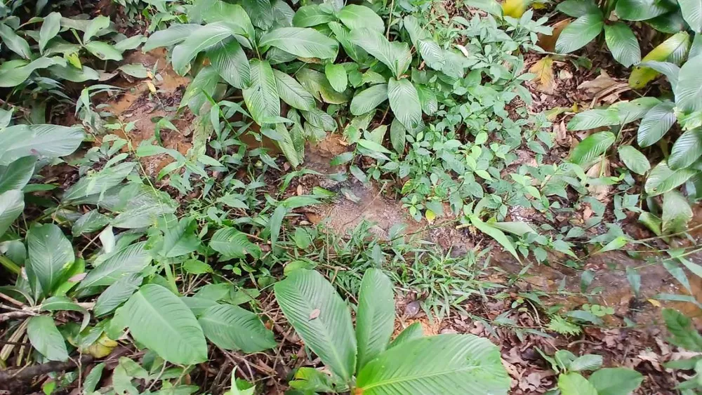 Chácara, 3839 m² - Foto 11