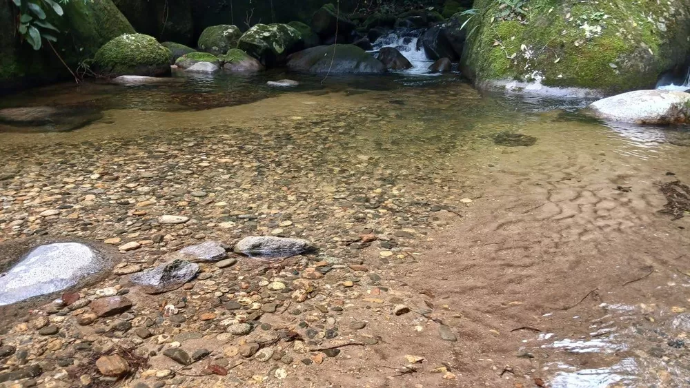 Chácara, 3839 m² - Foto 17