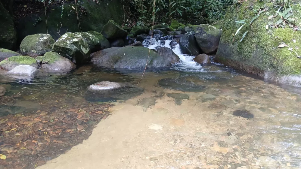 Chácara, 3839 m² - Foto 19