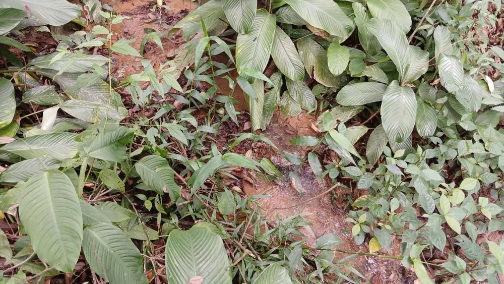 Chácara, 3839 m² - Foto 8