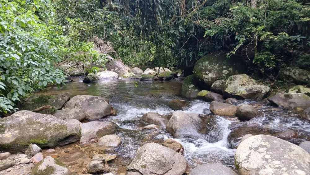 Chácara, 3839 m² - Foto 18