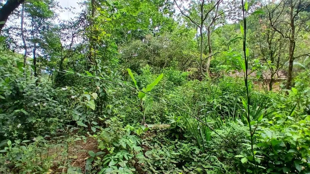 Chácara, 3839 m² - Foto 9