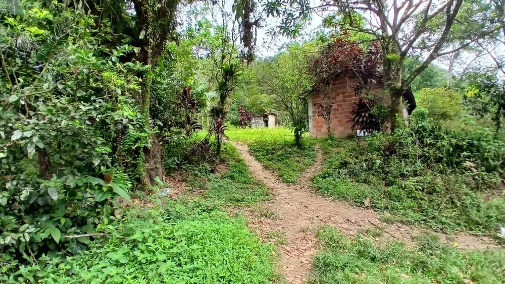 Chácara, 3839 m² - Foto 1