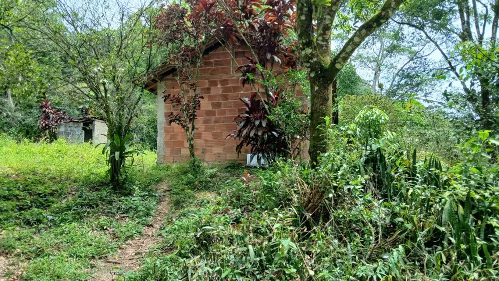 Chácara, 3839 m² - Foto 4