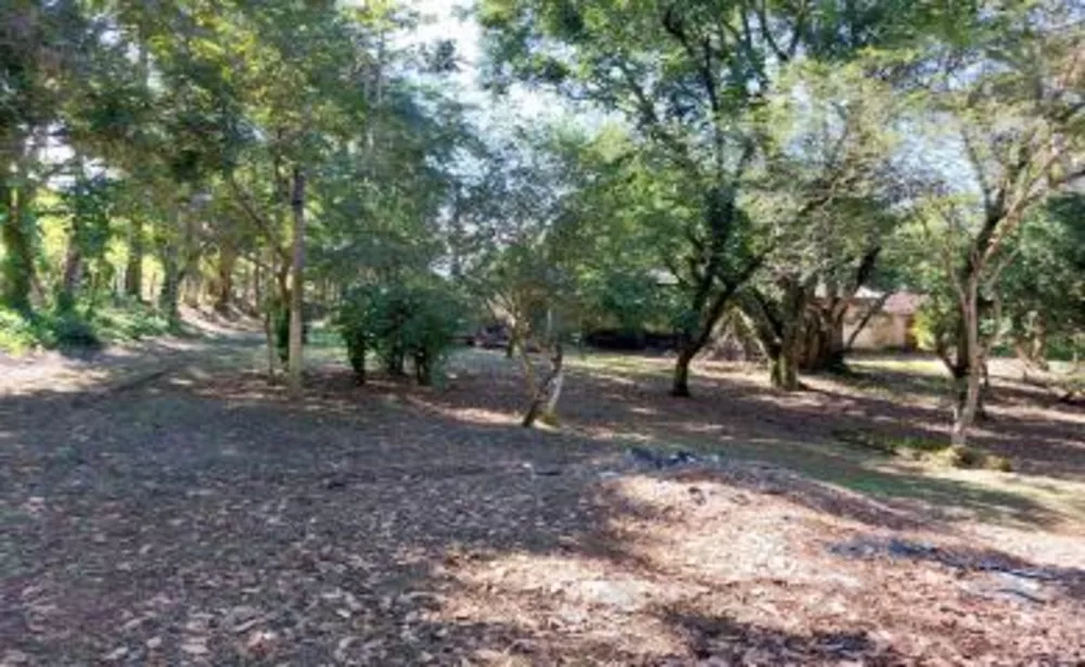 Sítio, 3 quartos, 39 hectares - Foto 19