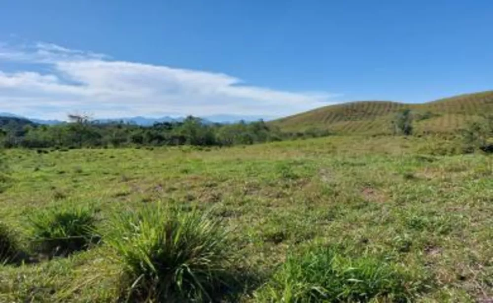 Sítio, 3 quartos, 39 hectares - Foto 24