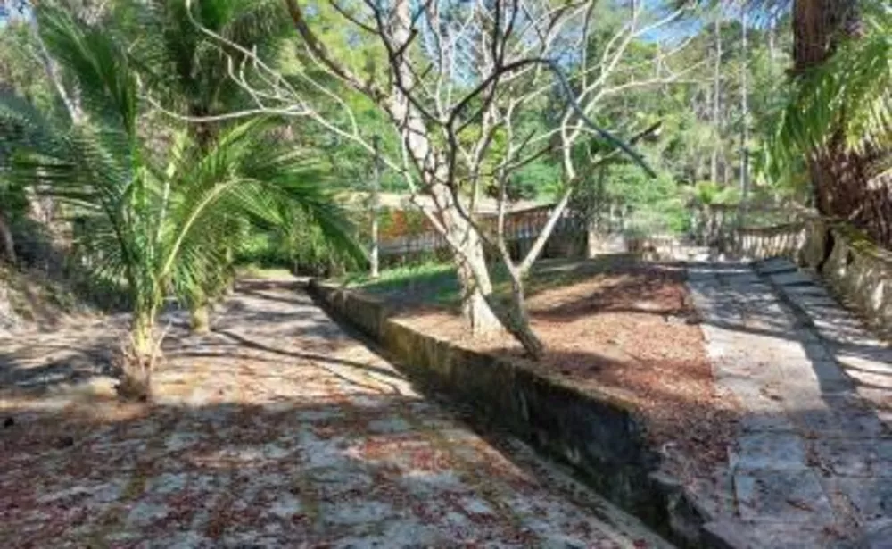 Sítio, 3 quartos, 39 hectares - Foto 10