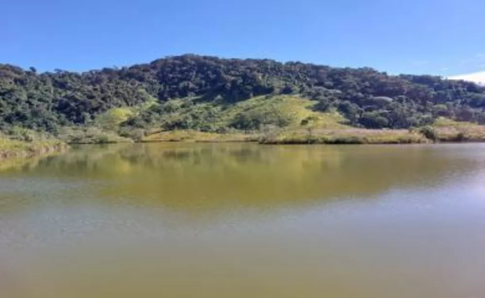 Sítio, 3 quartos, 39 hectares - Foto 14