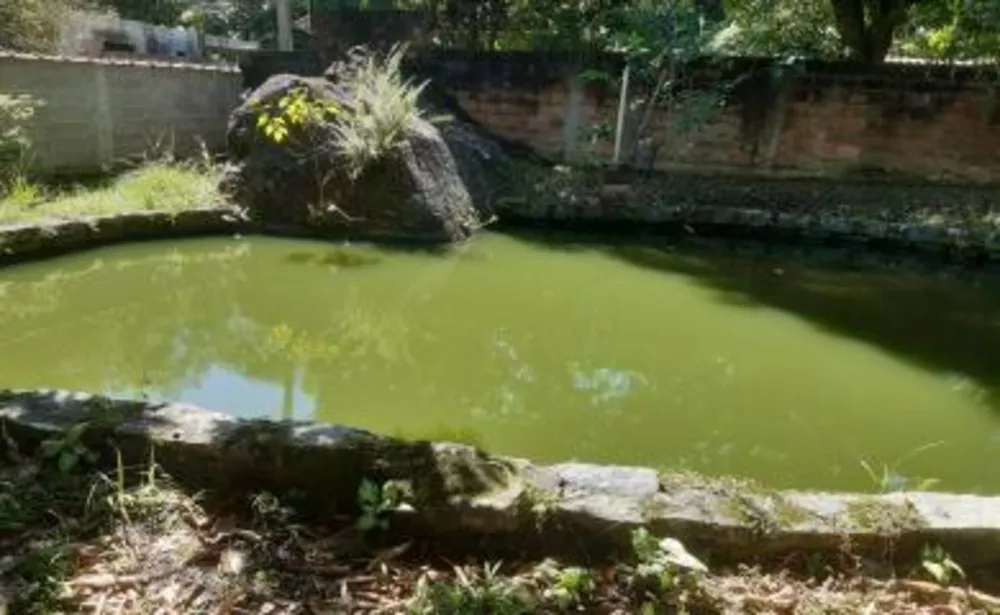 Sítio, 2 quartos, 1800 m² - Foto 8