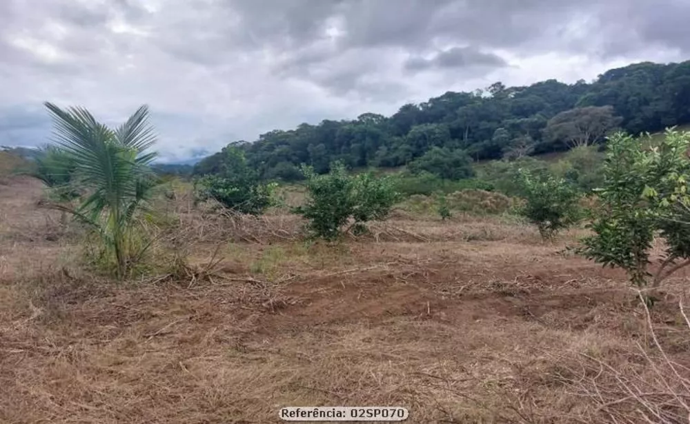 Sítio, 2 quartos, 17 hectares - Foto 4