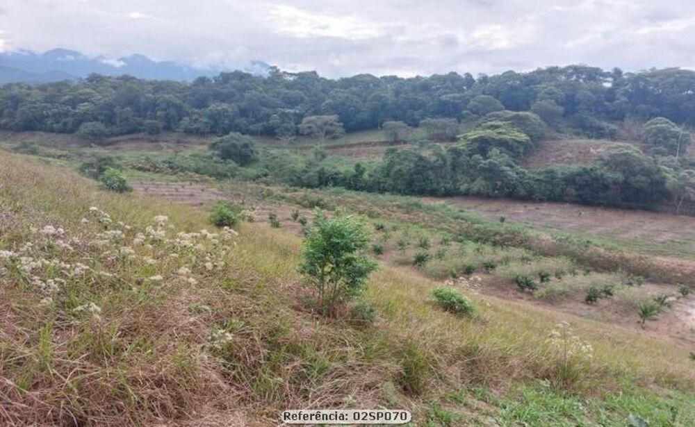 Sítio, 2 quartos, 17 hectares - Foto 19