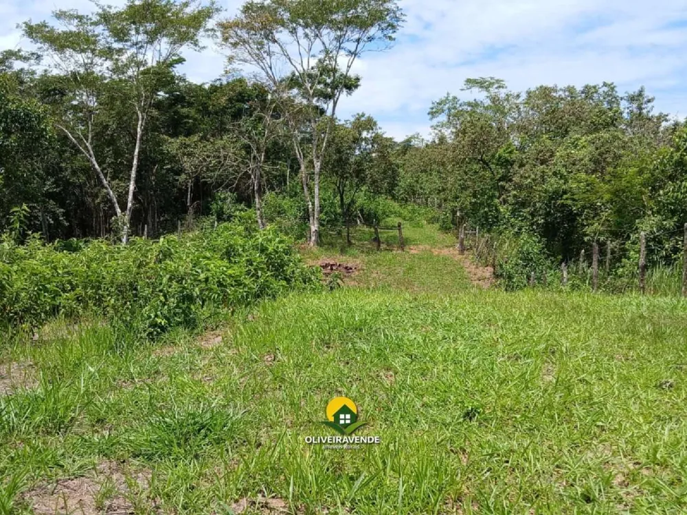 Sítio, 3 quartos, 3 hectares - Foto 18