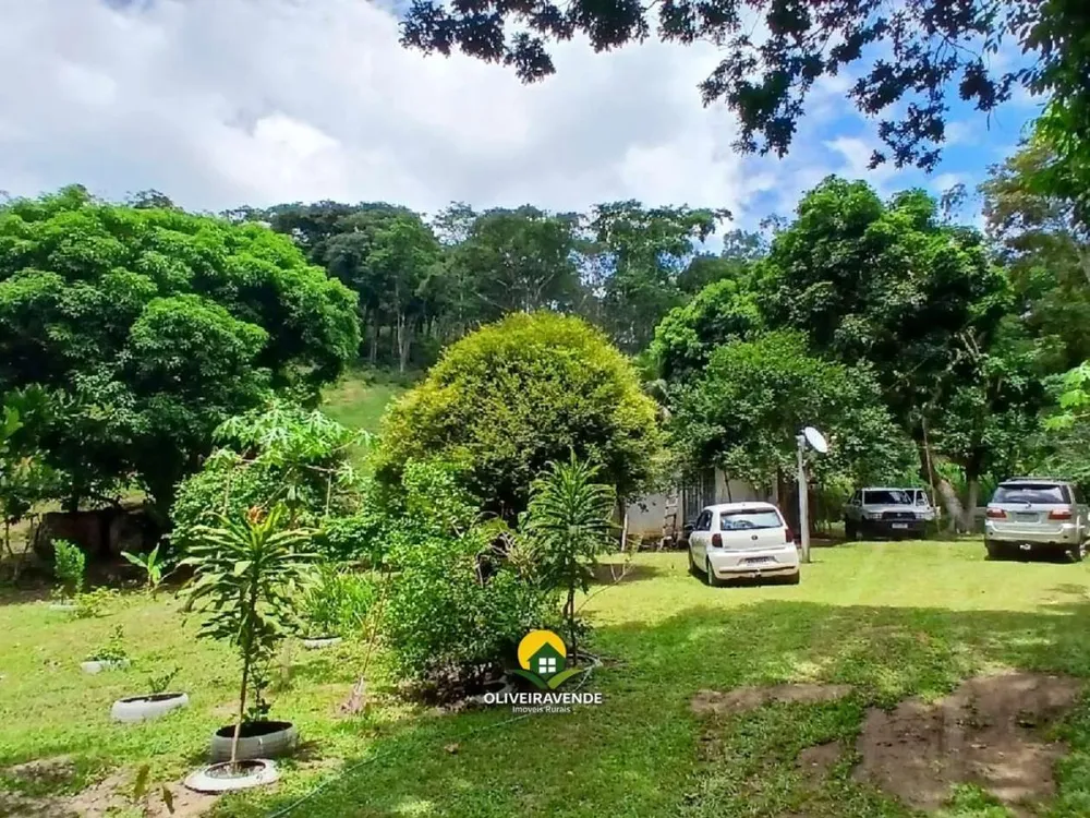 Sítio, 3 quartos, 3 hectares - Foto 1