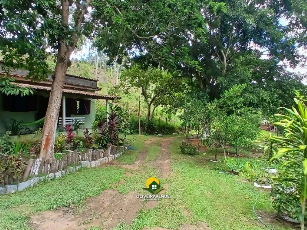 Sítio, 3 quartos, 3 hectares - Foto 7