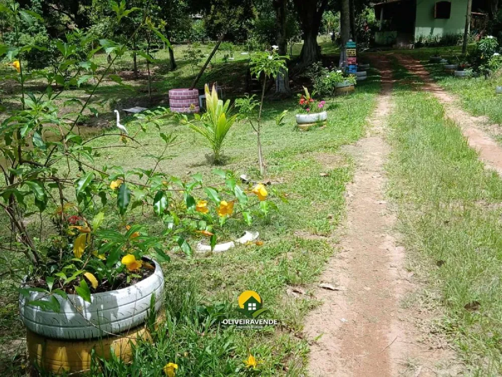 Sítio, 3 quartos, 3 hectares - Foto 13