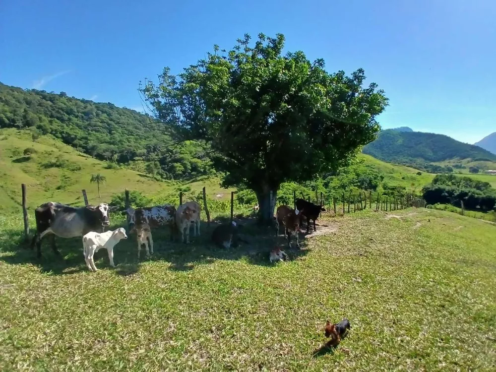 Fazenda, 261 m² - Foto 9