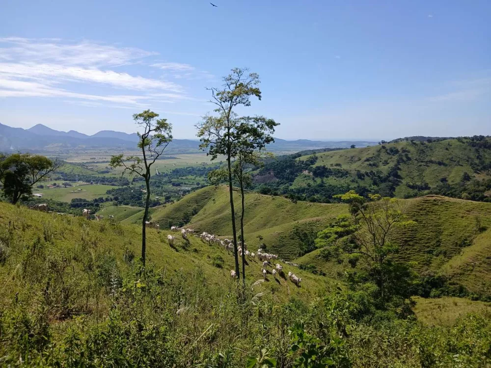 Fazenda, 261 m² - Foto 16