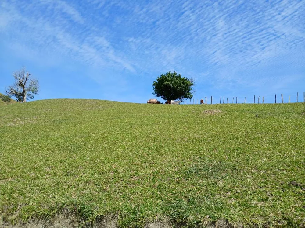 Fazenda, 261 m² - Foto 25