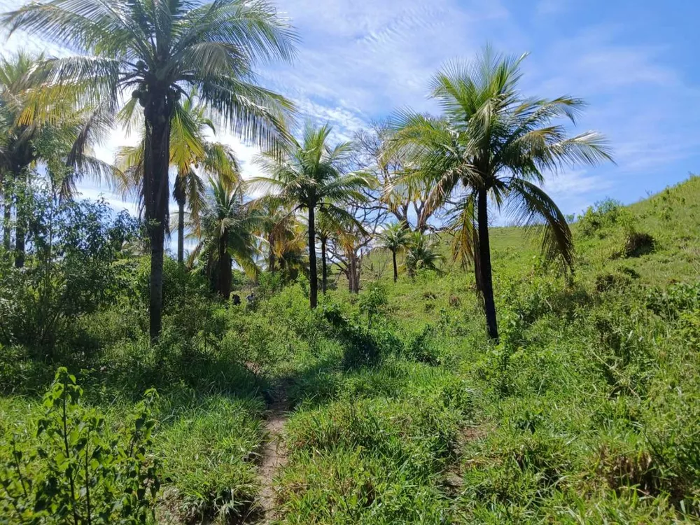 Fazenda, 261 m² - Foto 22