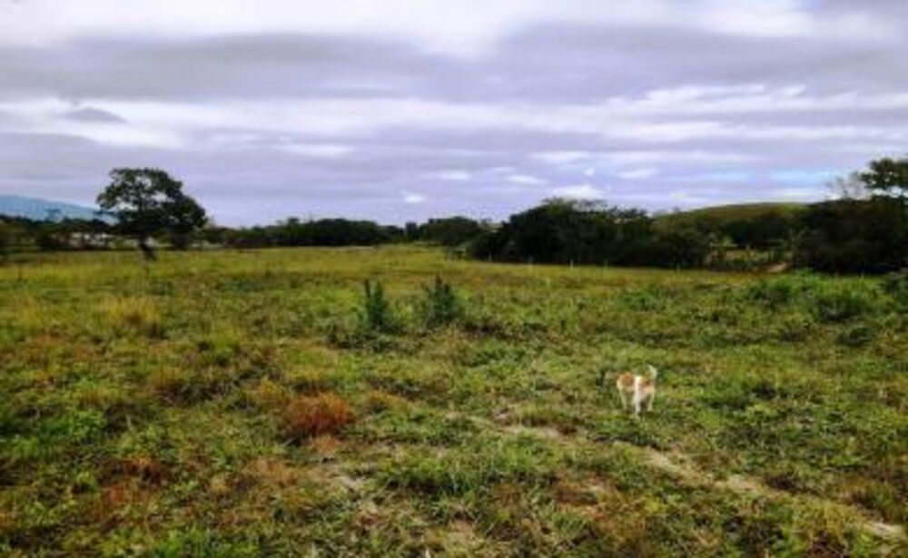 Sítio à venda com 5 quartos, 126000m² - Foto 2