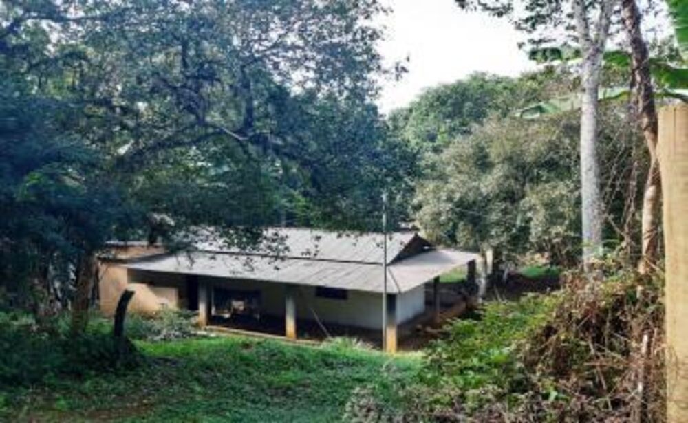 Sítio à venda com 2 quartos, 96000m² - Foto 12