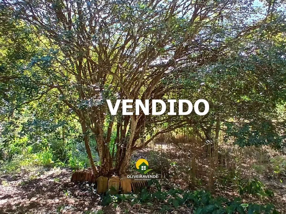 Sítio, 1 quarto, 2 hectares - Foto 64