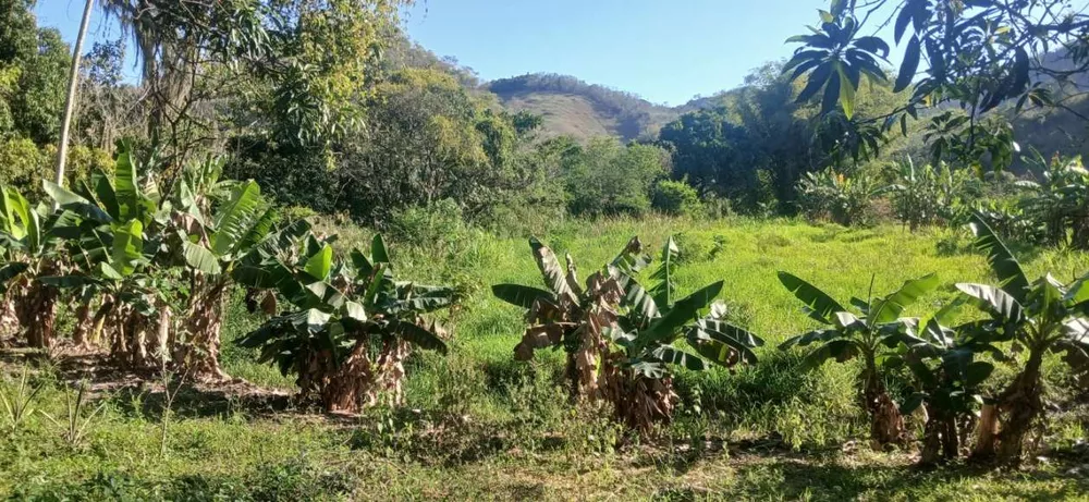 Sítio, 1 quarto, 2 hectares - Foto 15