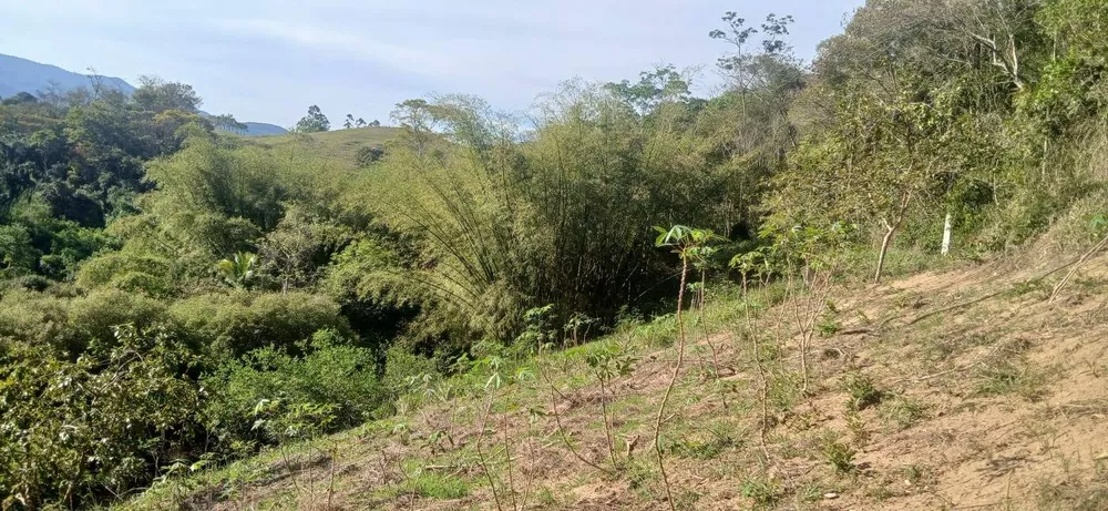 Sítio, 1 quarto, 2 hectares - Foto 12