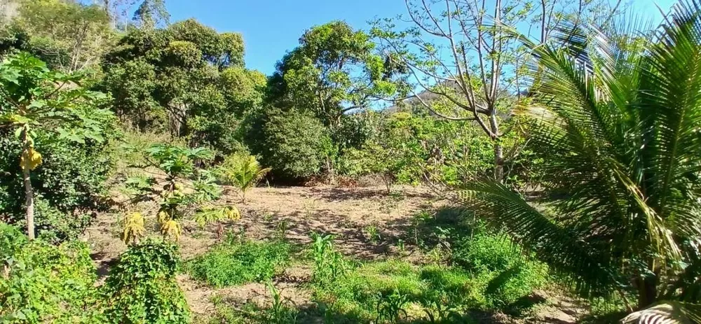 Sítio, 1 quarto, 2 hectares - Foto 25