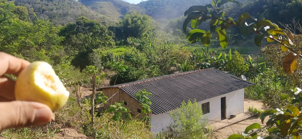 Sítio, 1 quarto, 2 hectares - Foto 7
